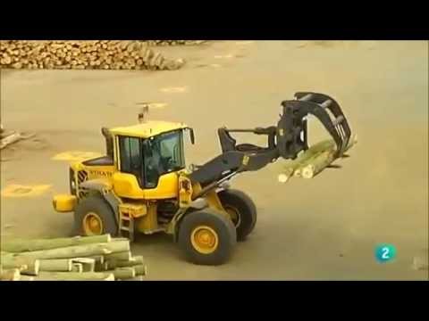 Distribucion de la madera