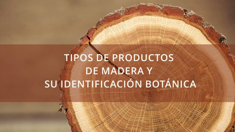 Tipos de madera ecologica