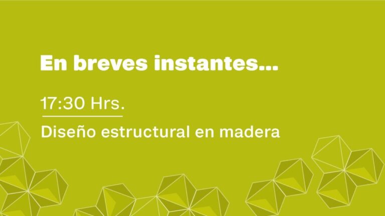 Estructura de madera partes