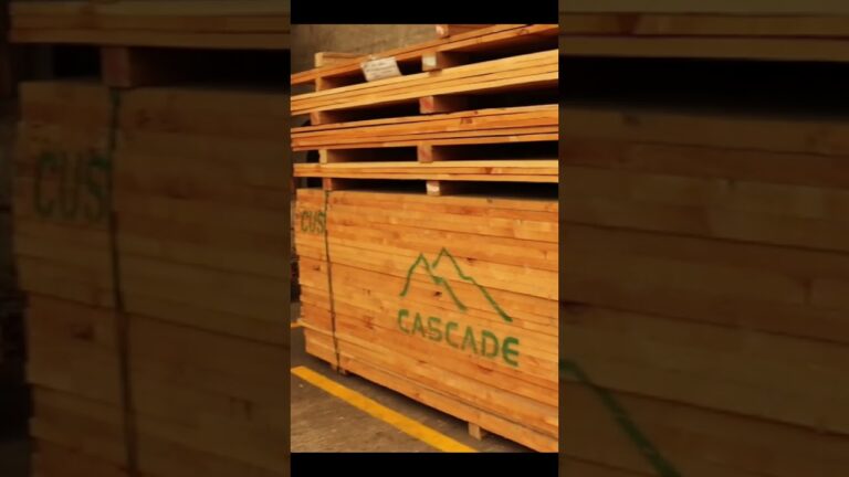 Tipos de madera en mexico