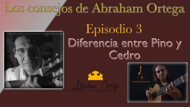 Que madera es mejor pino o abeto