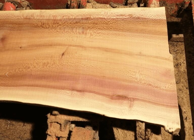¿Qué es mejor madera: ciprés o pino?